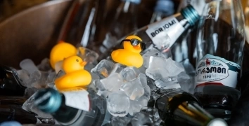 WINTER MICE IN GEORGIA | Event Studio BON