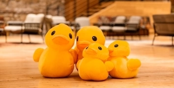 WINTER MICE IN GEORGIA | Event Studio BON