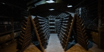 FIRST MICE FOR MELON | Event Studio BON