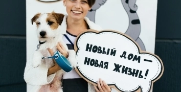 EVENTS FOR A-100 DEVELOPMENT | Event Studio BON