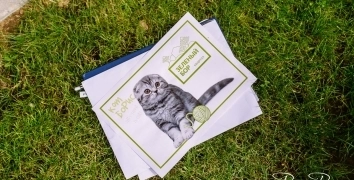 EVENTS FOR A-100 DEVELOPMENT | Event Studio BON