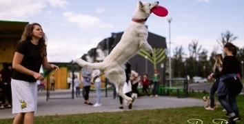 EVENTS FOR A-100 DEVELOPMENT | Event Studio BON