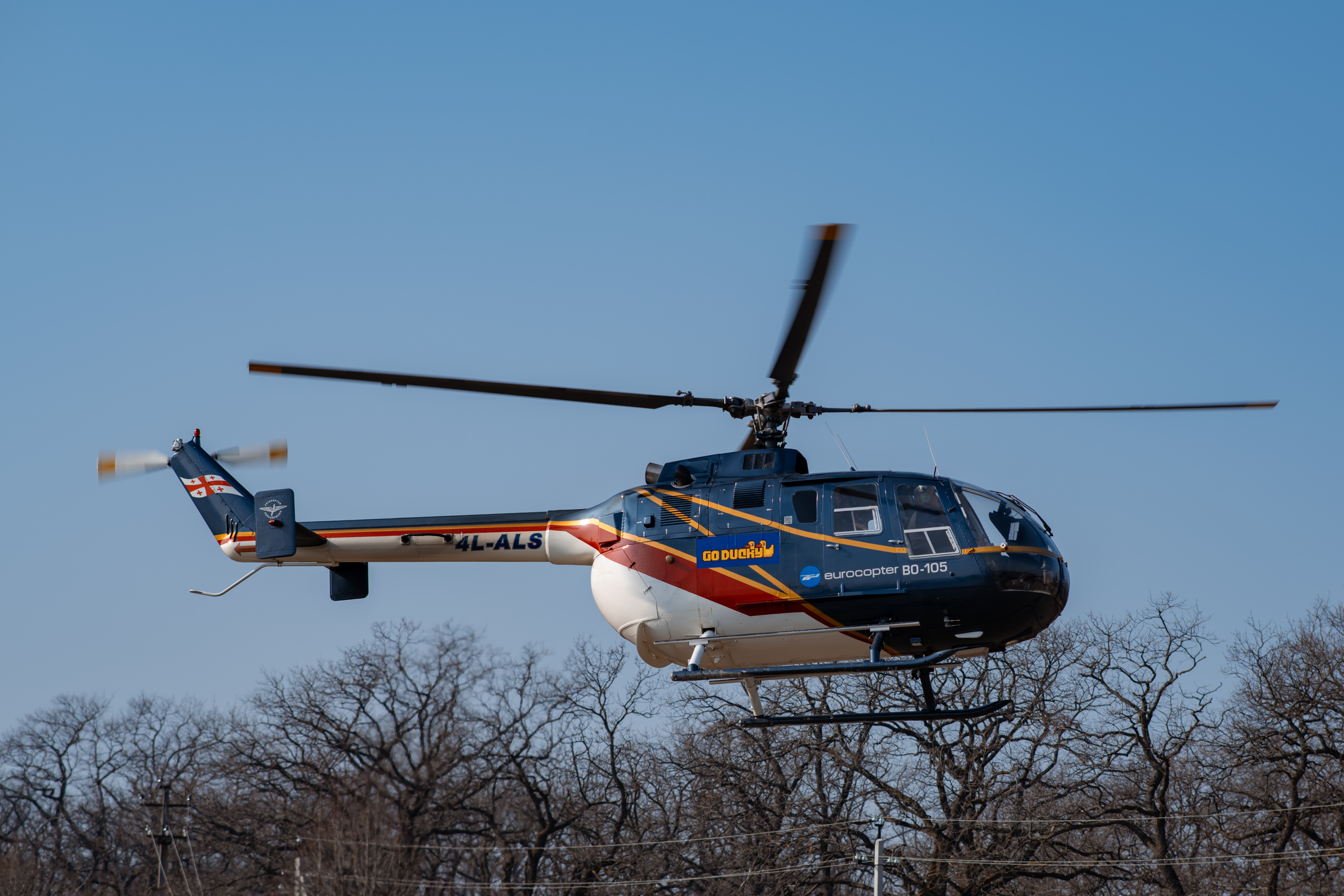 WINTER MICE IN GEORGIA | Event Studio BON